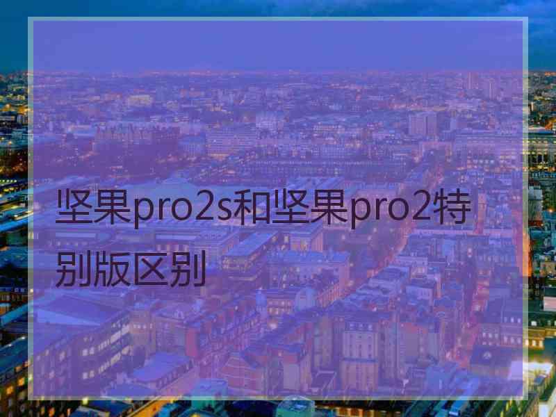 坚果pro2s和坚果pro2特别版区别