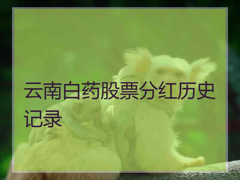 云南白药股票分红历史记录