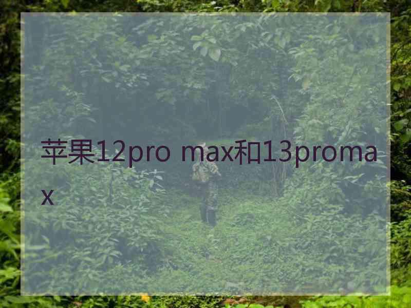 苹果12pro max和13promax