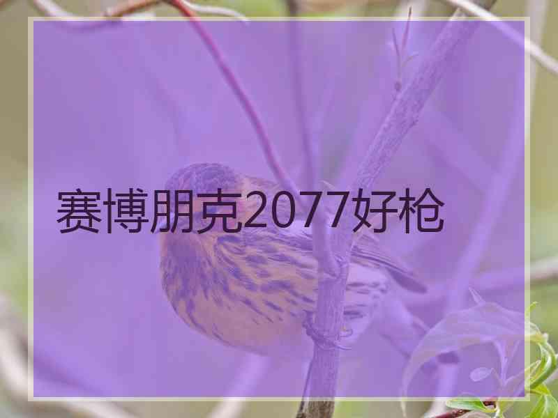 赛博朋克2077好枪