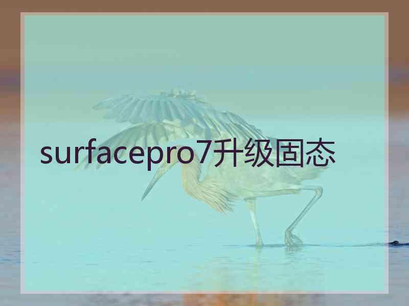 surfacepro7升级固态