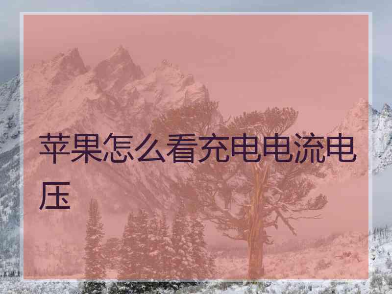 苹果怎么看充电电流电压