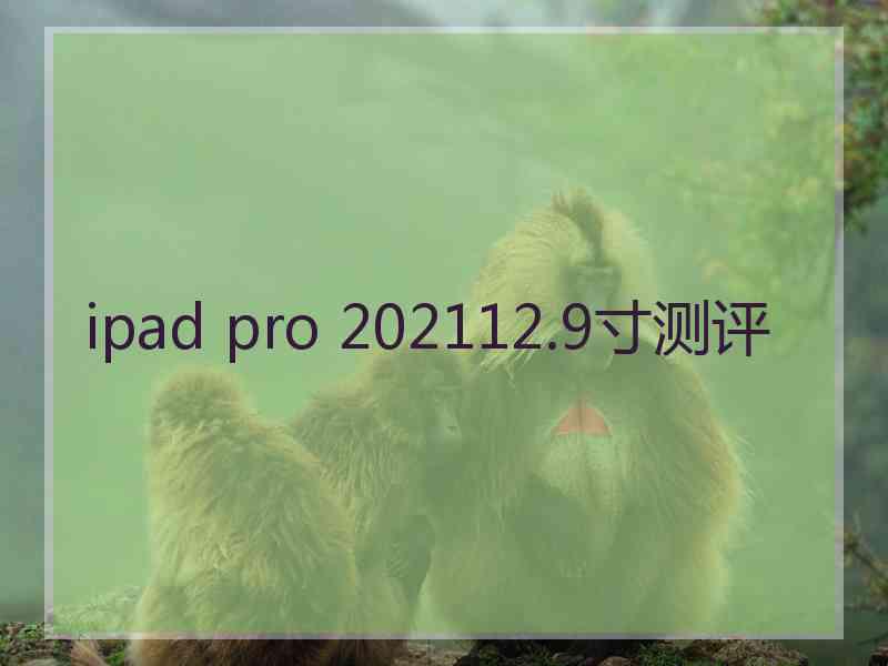 ipad pro 202112.9寸测评