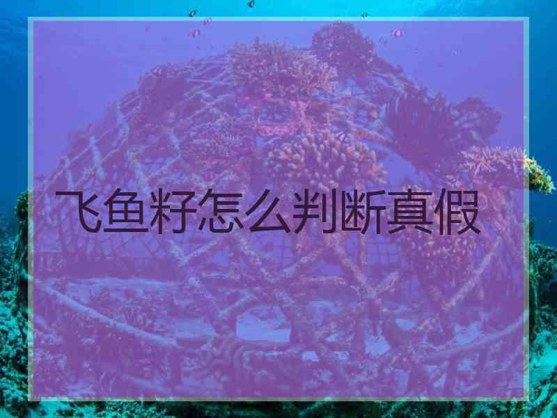 飞鱼籽怎么判断真假