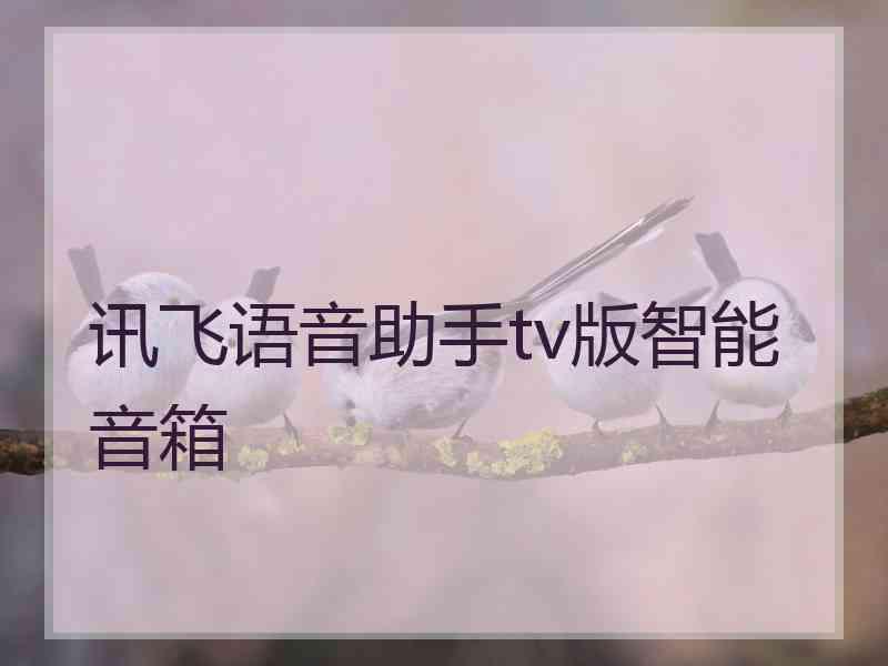 讯飞语音助手tv版智能音箱