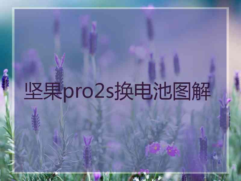 坚果pro2s换电池图解