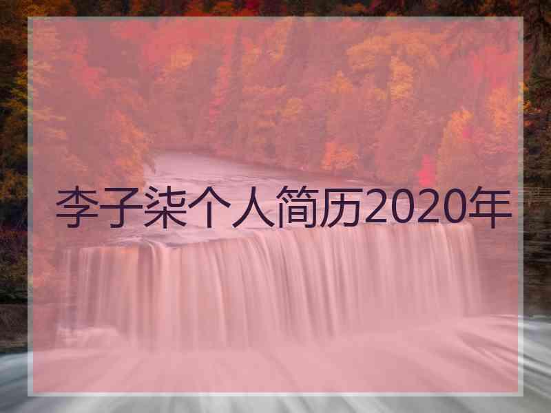 李子柒个人简历2020年