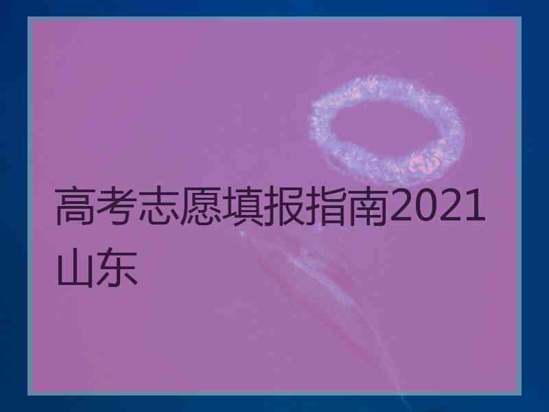 高考志愿填报指南2021山东