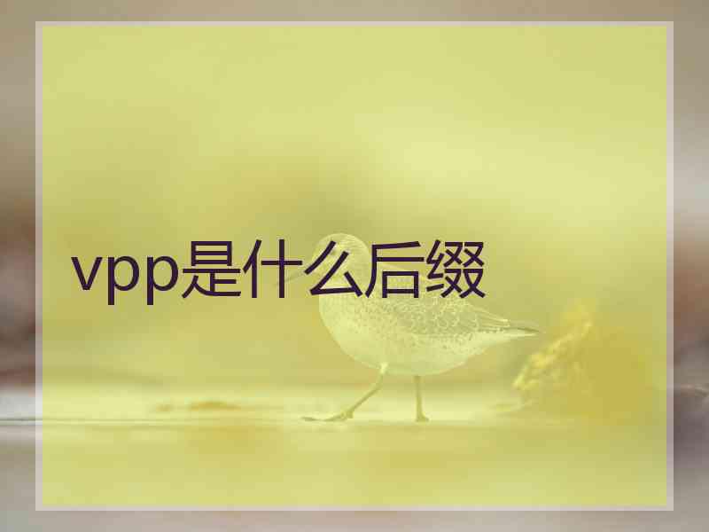 vpp是什么后缀