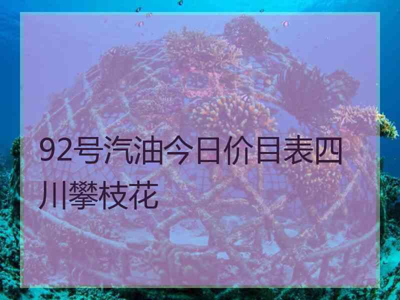 92号汽油今日价目表四川攀枝花