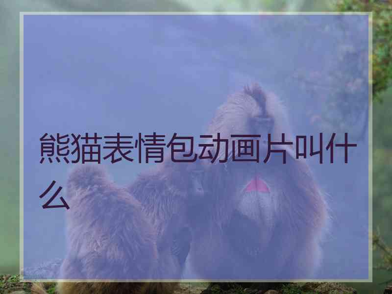 熊猫表情包动画片叫什么