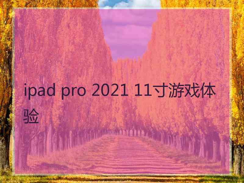 ipad pro 2021 11寸游戏体验