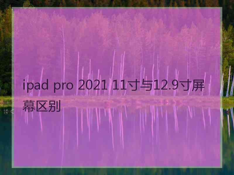 ipad pro 2021 11寸与12.9寸屏幕区别