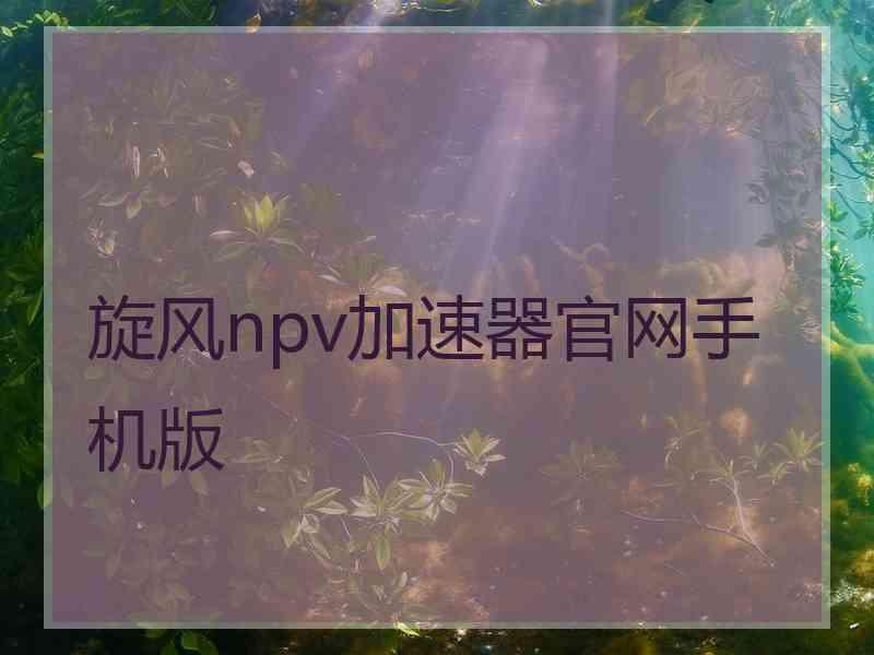 旋风npv加速器官网手机版