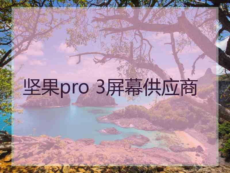 坚果pro 3屏幕供应商