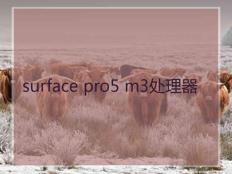 surface pro5 m3处理器