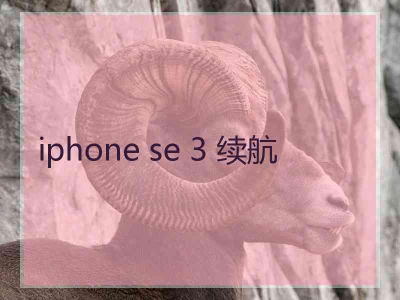 iphone se 3 续航