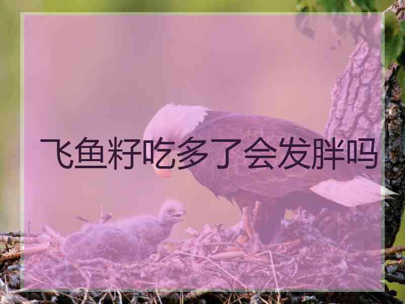 飞鱼籽吃多了会发胖吗