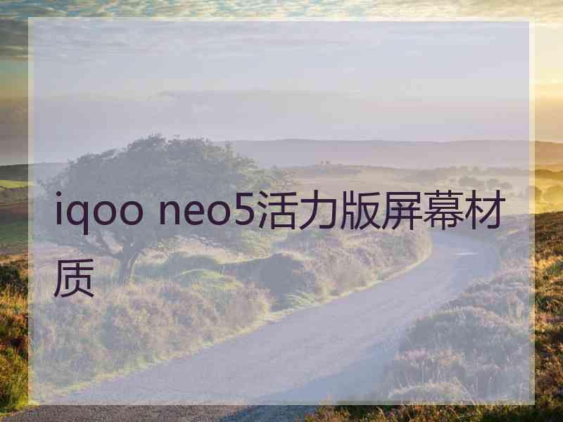 iqoo neo5活力版屏幕材质