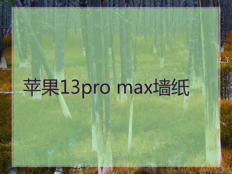 苹果13pro max墙纸