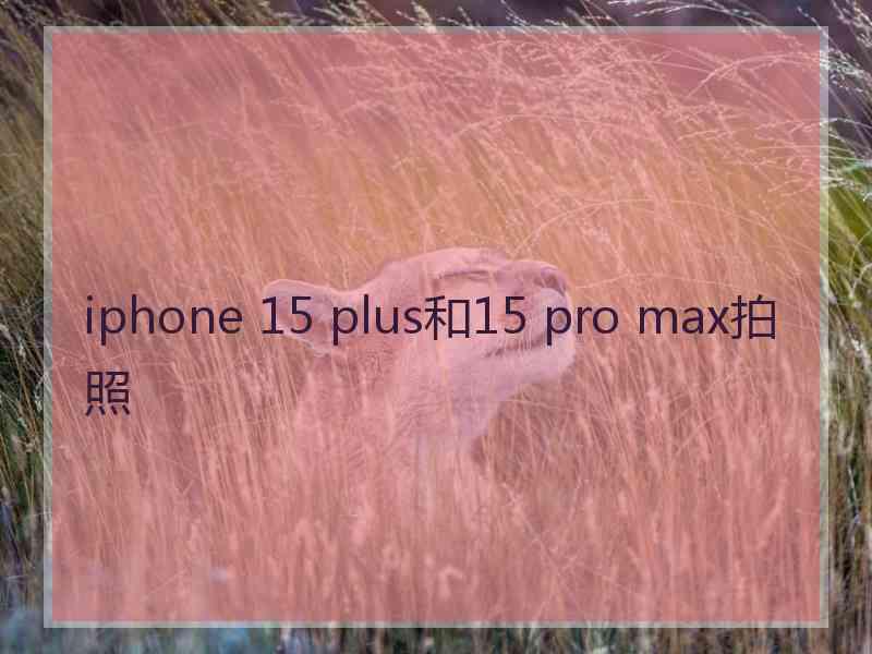 iphone 15 plus和15 pro max拍照