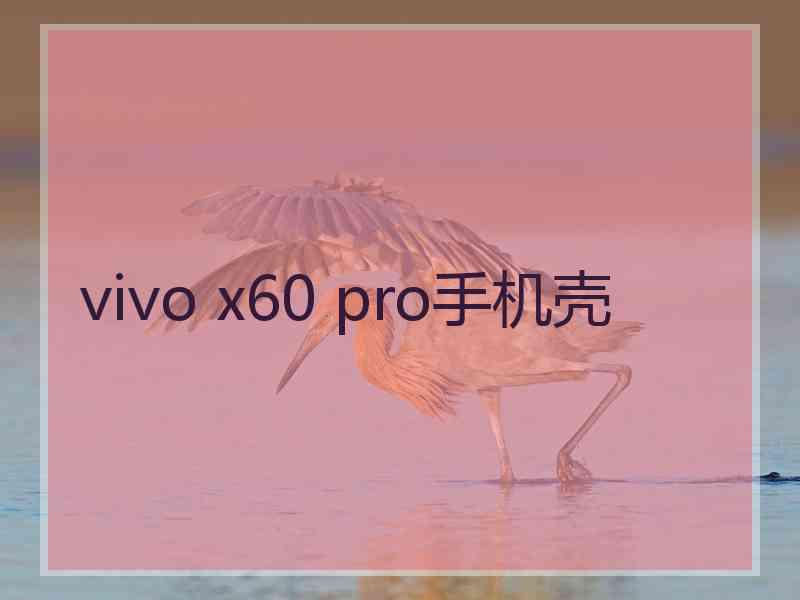 vivo x60 pro手机壳