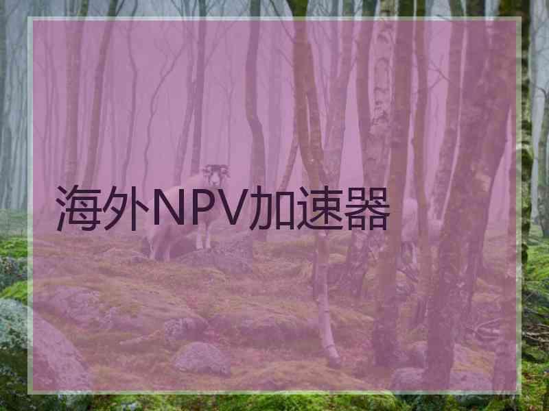 海外NPV加速器