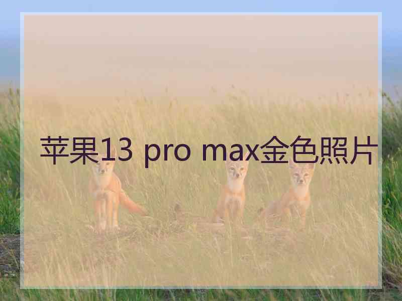 苹果13 pro max金色照片