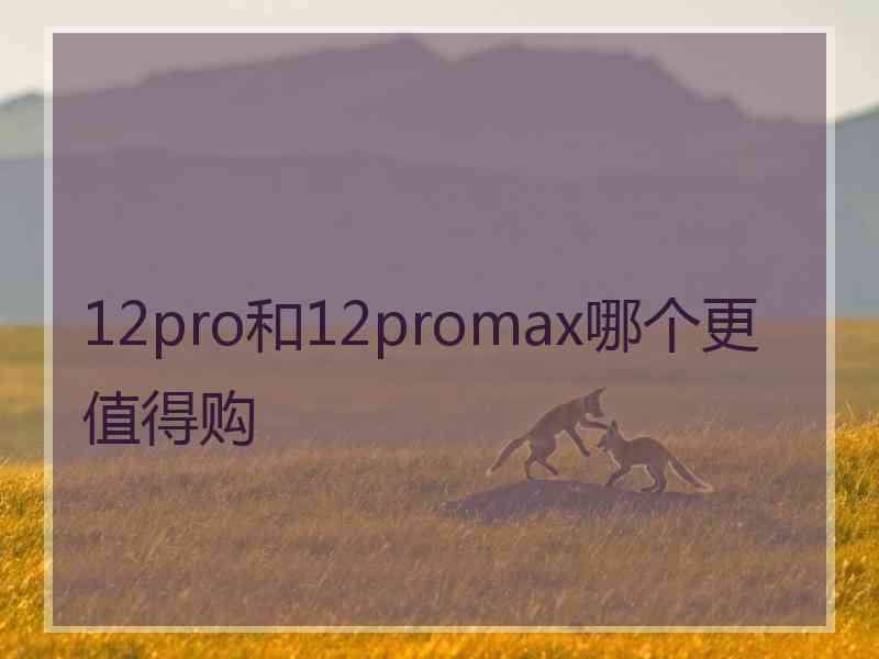 12pro和12promax哪个更值得购