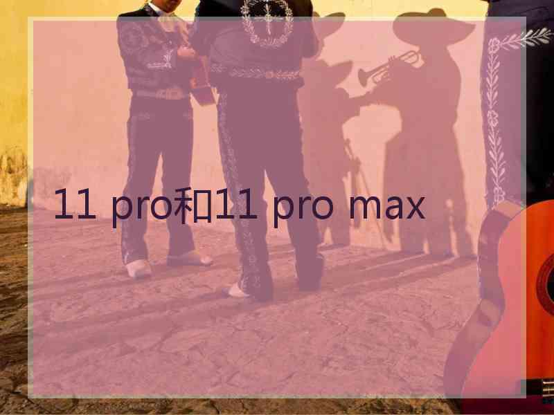 11 pro和11 pro max