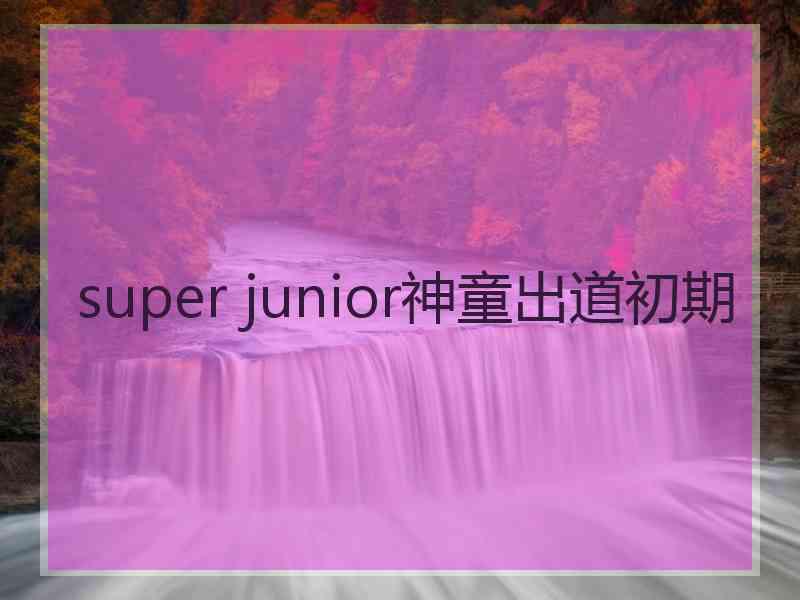 super junior神童出道初期