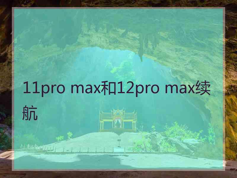 11pro max和12pro max续航