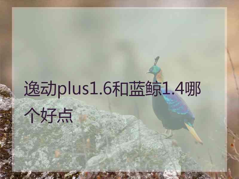 逸动plus1.6和蓝鲸1.4哪个好点