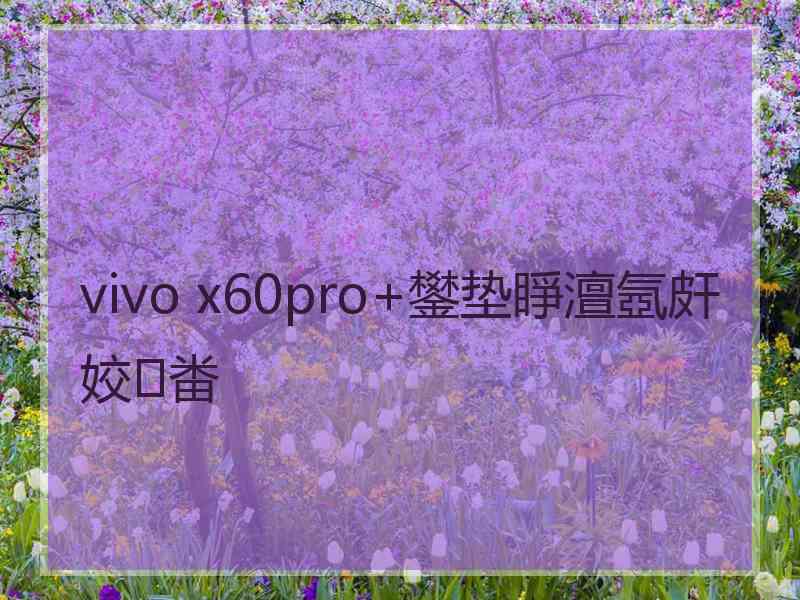 vivo x60pro+鐢垫睜澶氬皯姣畨