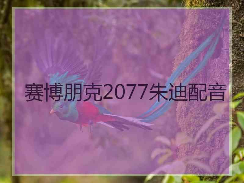 赛博朋克2077朱迪配音