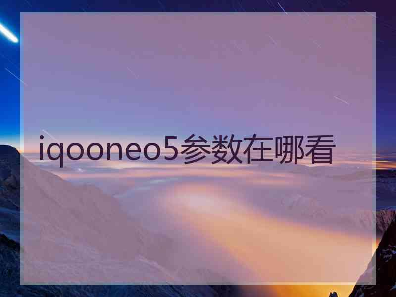 iqooneo5参数在哪看