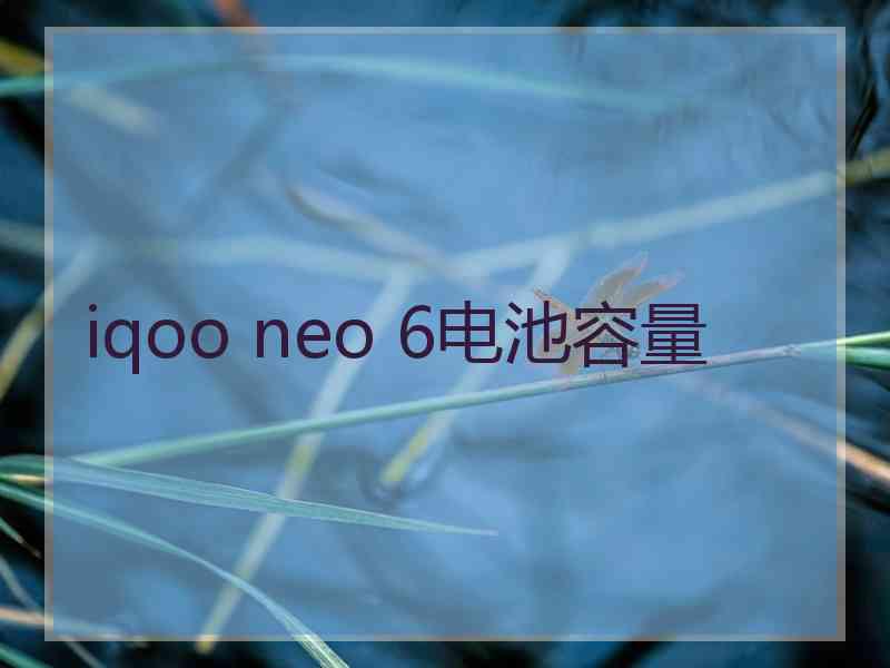 iqoo neo 6电池容量