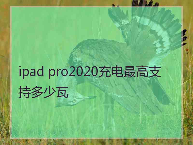 ipad pro2020充电最高支持多少瓦