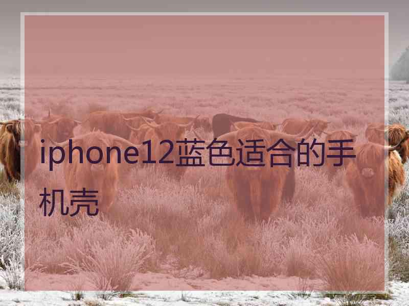 iphone12蓝色适合的手机壳