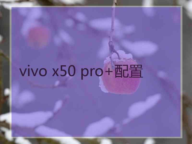 vivo x50 pro+配置