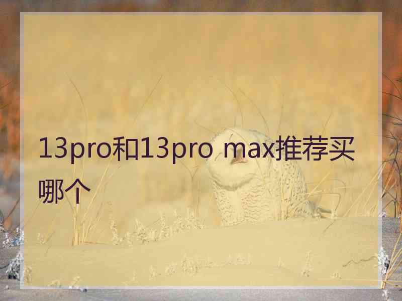 13pro和13pro max推荐买哪个