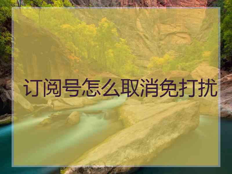 订阅号怎么取消免打扰