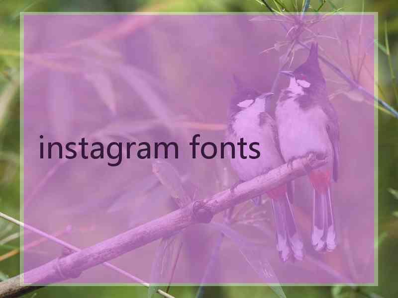 instagram fonts