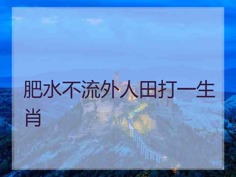 肥水不流外人田打一生肖