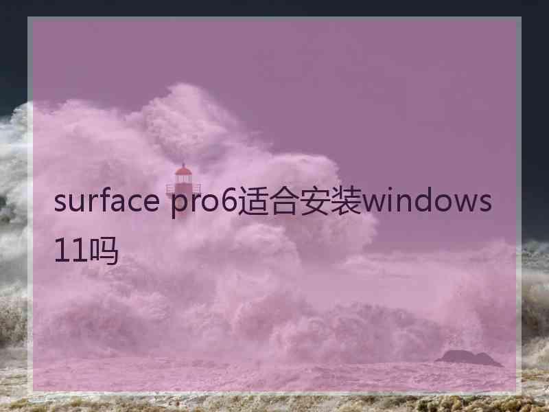 surface pro6适合安装windows11吗