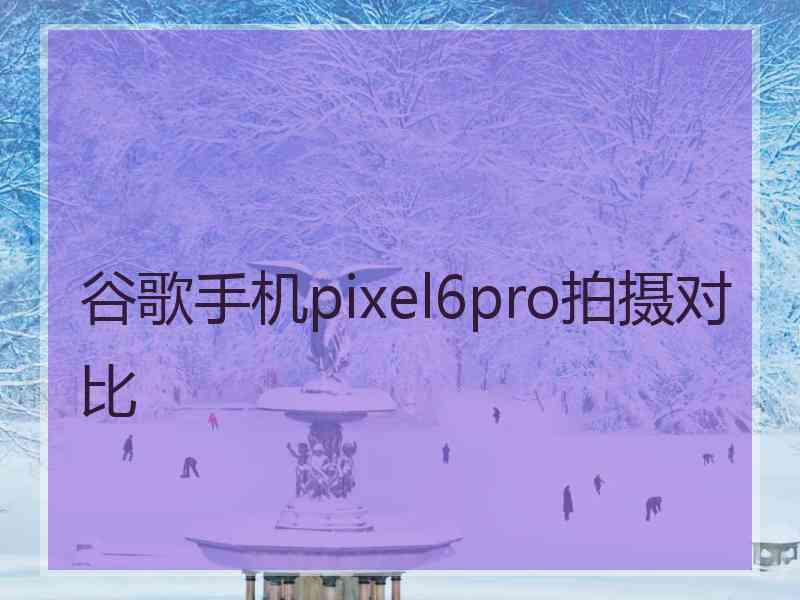 谷歌手机pixel6pro拍摄对比