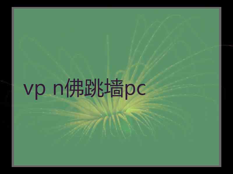 vp n佛跳墙pc