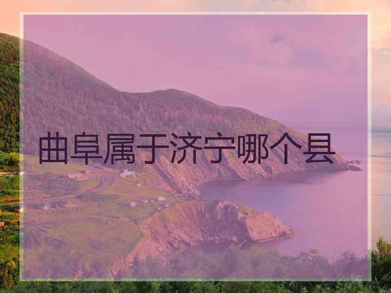 曲阜属于济宁哪个县