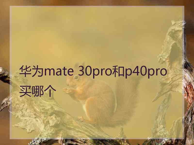 华为mate 30pro和p40pro买哪个