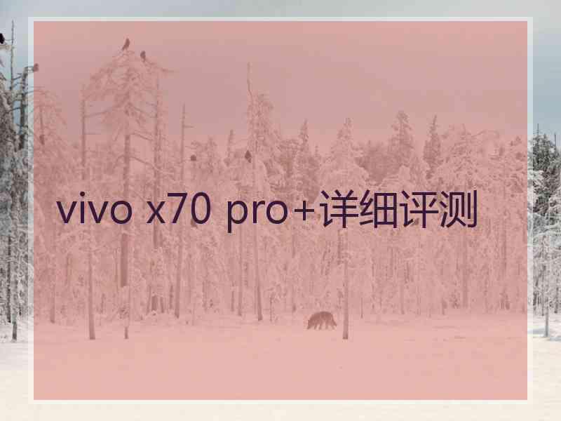 vivo x70 pro+详细评测